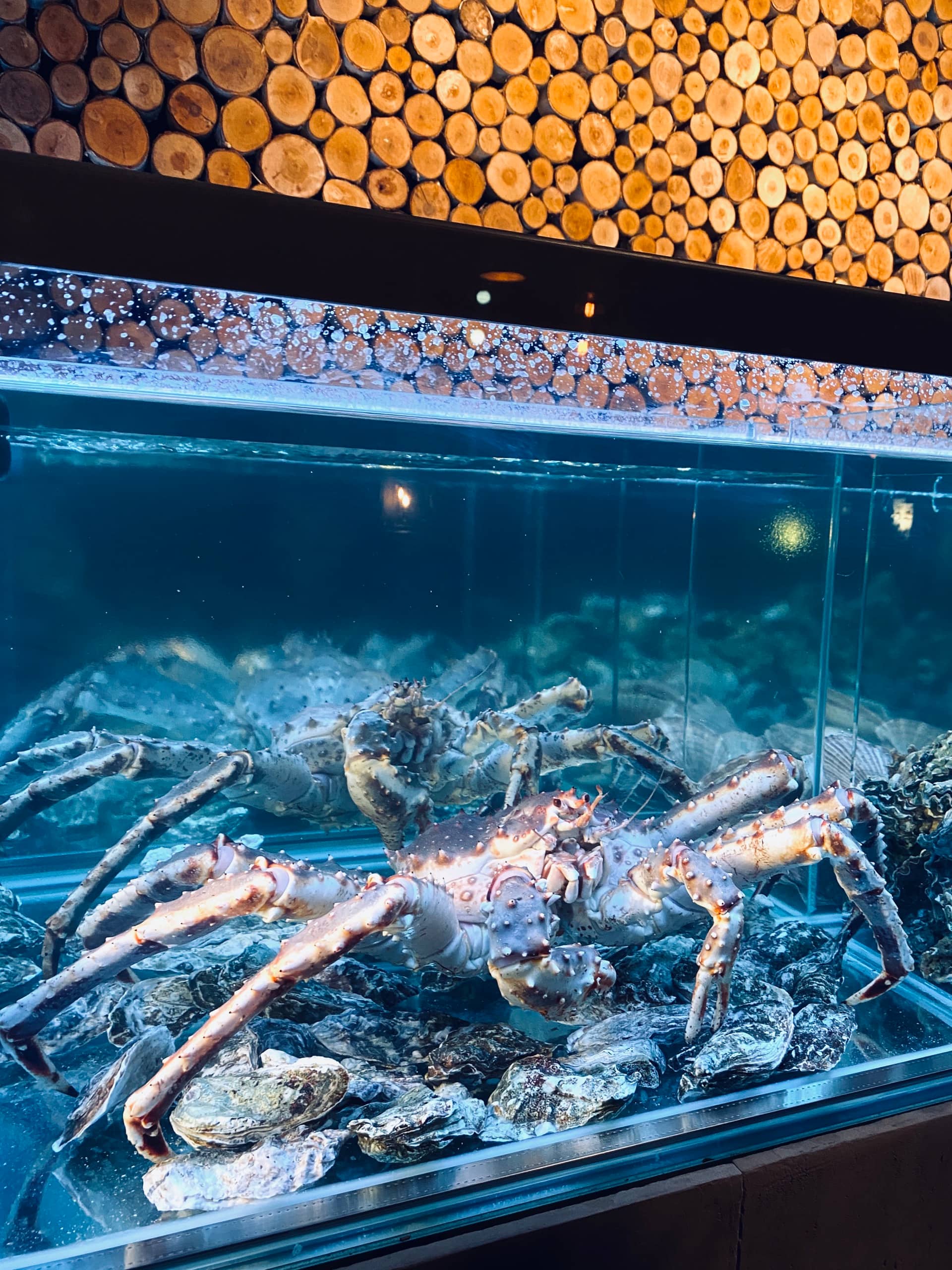 Аквариум с живыми морепродуктами